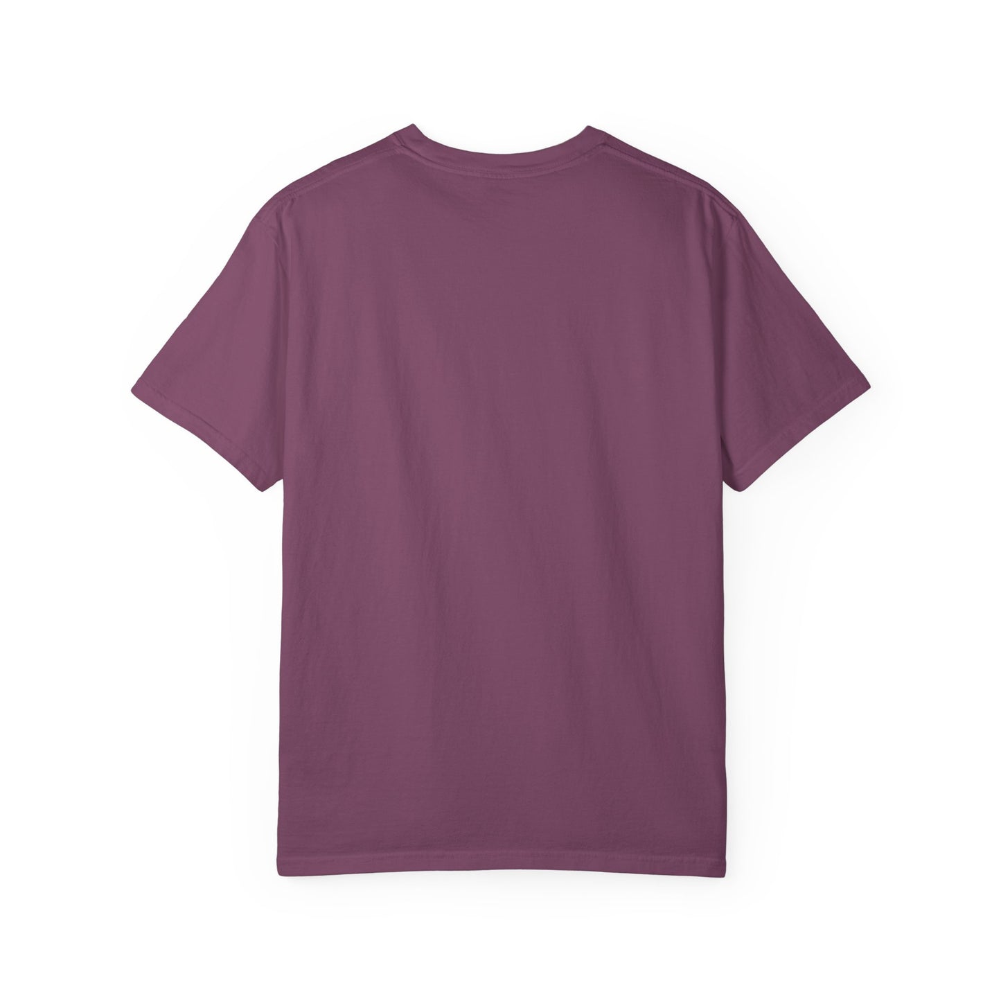 Noah's Ark Rainbow T-Shirt — Genesis 9:12-13 Faith Tee