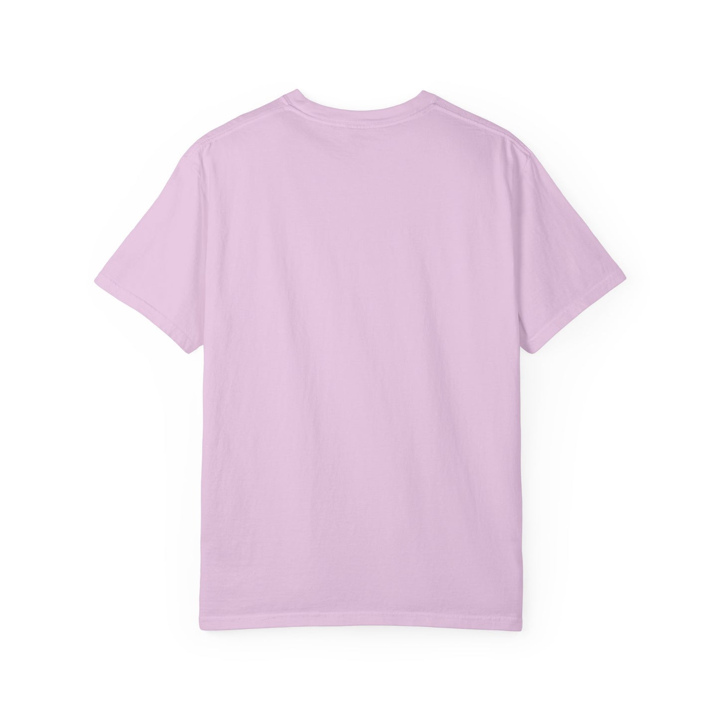 Noah's Ark Rainbow T-Shirt — Genesis 9:12-13 Faith Tee